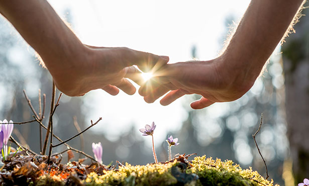 Reiki can be exceptionally helpful with disordered eating and eating disorders Reiki can be exceptionally helpful with disordered eating and eating disorders