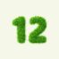 Twelve