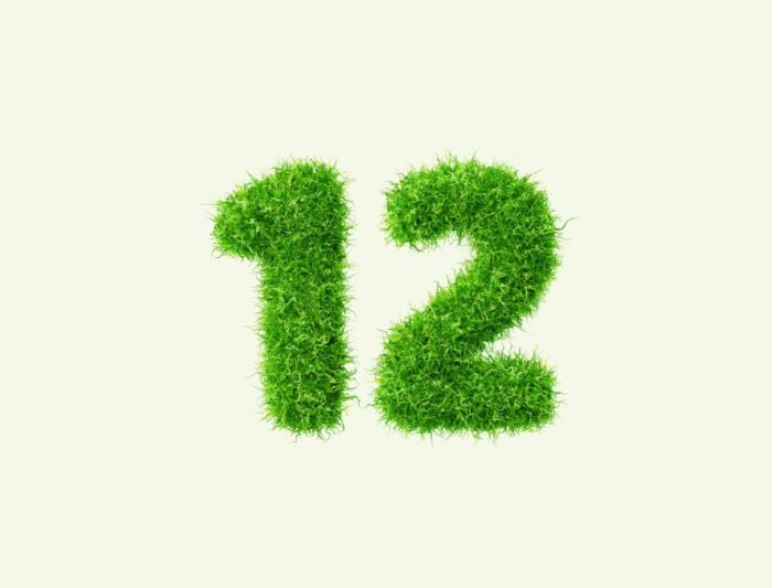Twelve