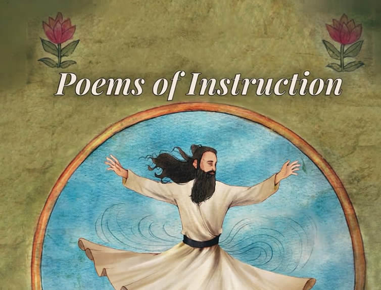 poem of instruction book cover